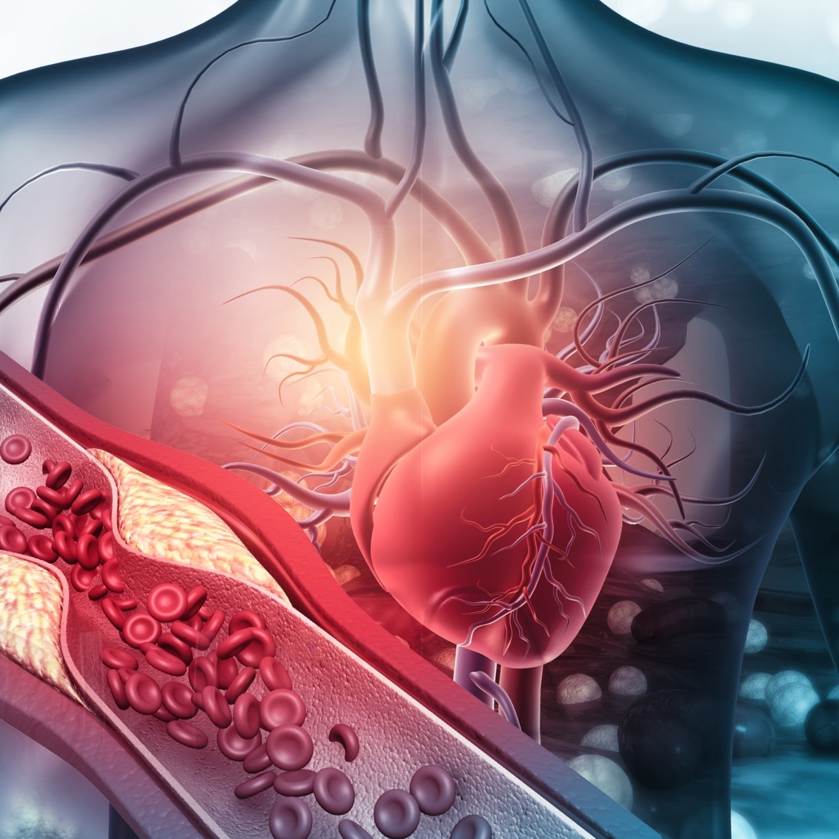 Maladies cardiovasculaires : causes et traitements | maladies cardiovasculaires alimentation | Centre MAAP | Paris